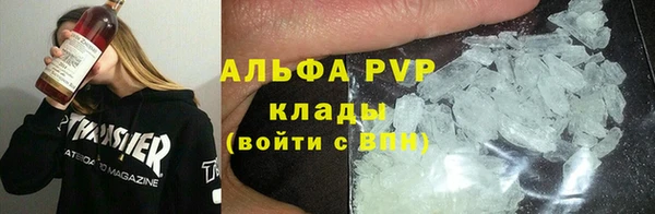 PSILOCYBIN Богородицк