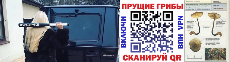 Псилоцибиновые грибы мицелий  блэк спрут ТОР  Навашино 